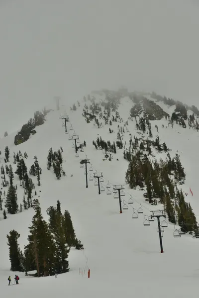 DSC_6748 (Large).JPG